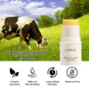 grass-fed-tallow-lip-butter-5413-04 Grass-Fed Tallow Lip Butter – 2-Bottle Pack