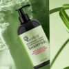 rosemary-mint-biotin-5-piece-hair-care-set-10229-03 Rosemary Mint + Biotin 5-Piece Hair Care Set – 2-Bottle Pack